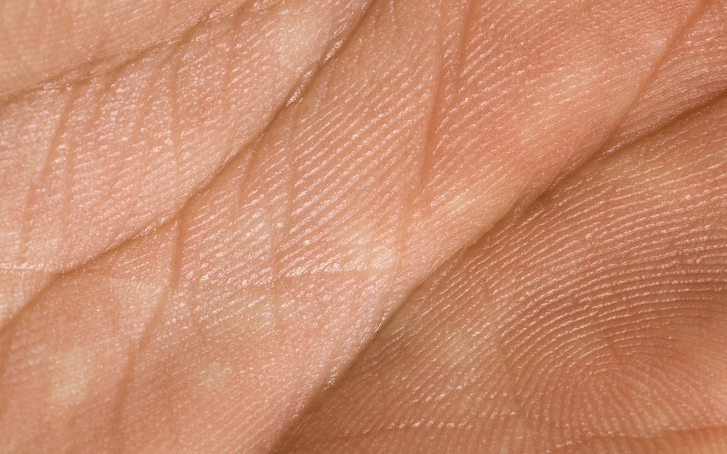 Data uitlevering voor regionale samenwerking GGZ provincie Drenthe